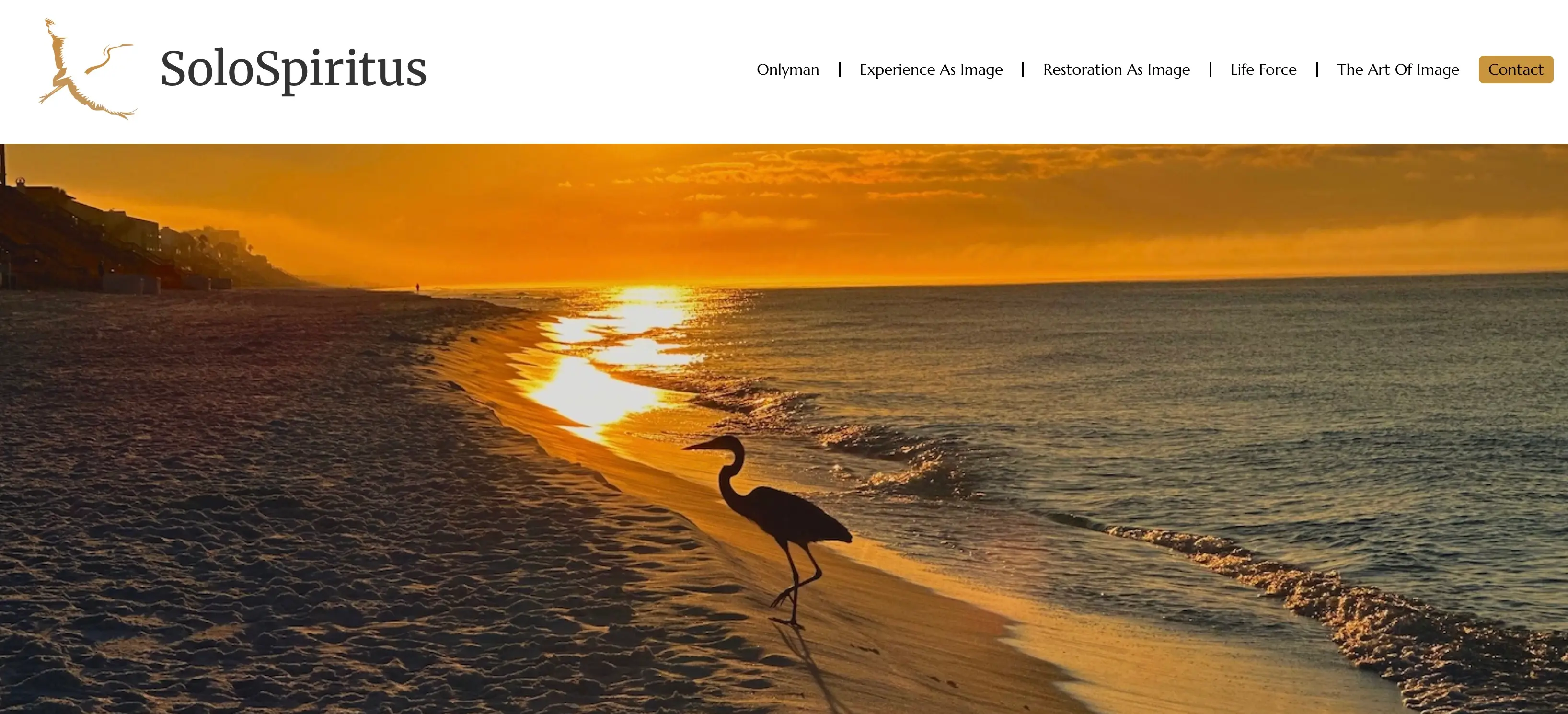Screenshot of the Buffalo Base Camp website